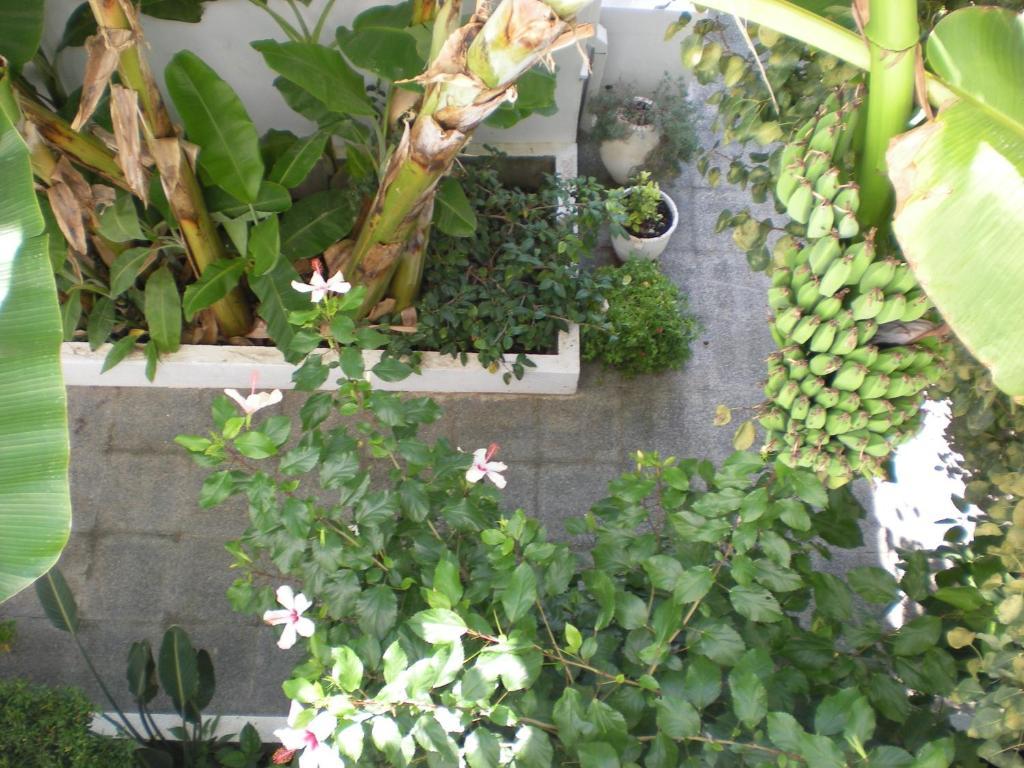 Manolis' House Aparthotel Skiathos Town Luaran gambar