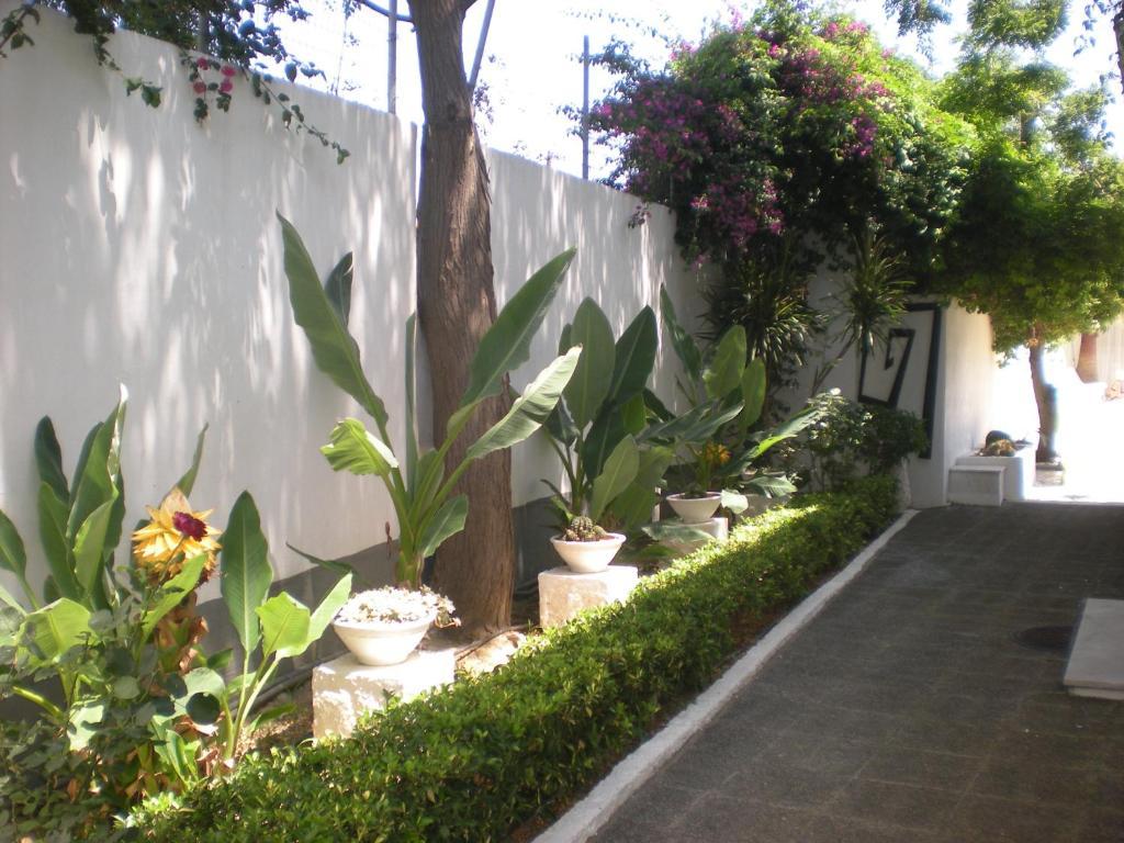 Manolis' House Aparthotel Skiathos Town Luaran gambar