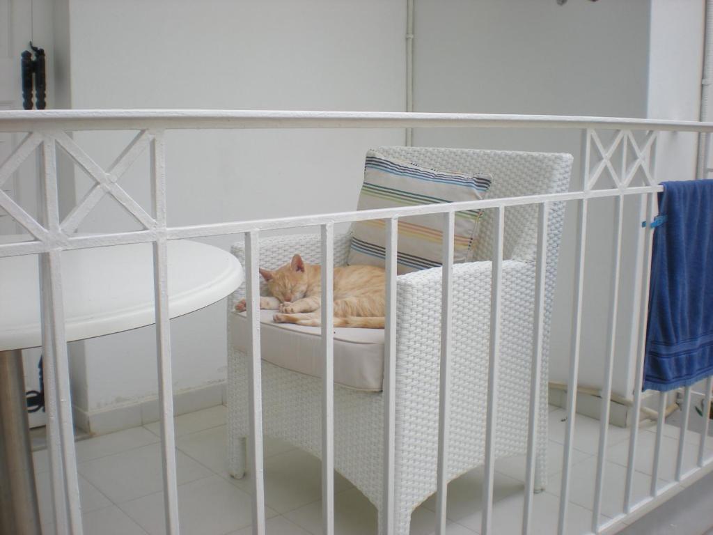 Manolis' House Aparthotel Skiathos Town Bilik gambar